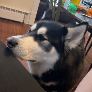 Meet your Posher, Aaron